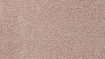 Ковролин Vorwerk Passion 1003 Vorwerk 1m03 фото 1 | FLOORDEALER