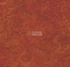 Линолеум Forbo Marmoleum Decibel 320335 фото 1 | FLOORDEALER