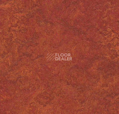 Линолеум Forbo Marmoleum Decibel 320335 фото 1 | FLOORDEALER