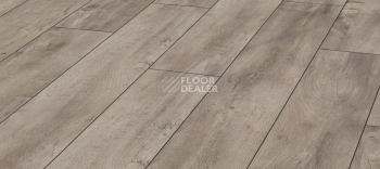 Kronotex Exquisit 8мм d4985 Дуб Восточный Серый фото 1 | FLOORDEALER