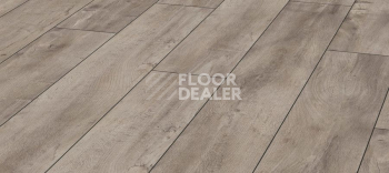 Ламинат Kronotex Exquisit 8мм d4985 Дуб Восточный Серый фото 1 | FLOORDEALER