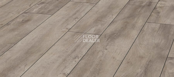 Ламинат Kronotex Exquisit 8мм d4985 Дуб Восточный Серый фото 1 | FLOORDEALER