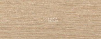 Плинтус Dollken EP 60/13 2570 фото 2 | FLOORDEALER