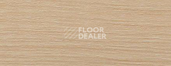 Плинтус Dollken EP 60/13 2570 фото 2 | FLOORDEALER