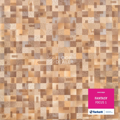 Линолеум Tarkett Fantasy FOCUS 1 фото 1 | FLOORDEALER