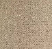 Ковролин Balsan Territoires Atrium 741 фото 1 | FLOORDEALER