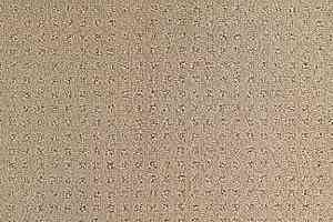 Ковролин Balsan Territoires Atrium 741 фото  | FLOORDEALER