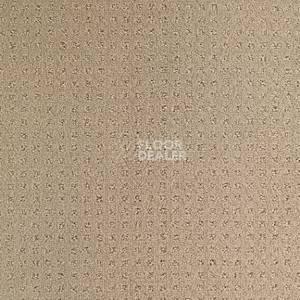 Ковролин Balsan Territoires Atrium 741 фото 1 | FLOORDEALER
