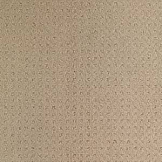 Ковролин Balsan Territoires Atrium 741 фото 1 | FLOORDEALER