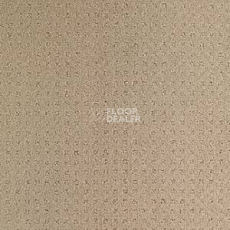 Ковролин Balsan Territoires Atrium 741 фото 1 | FLOORDEALER