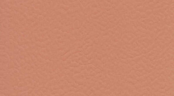 Линолеум Taraflex Performance Uni 6146_Coral фото 1 | FLOORDEALER