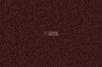 Ковролин Vorwerk Viola 1l46 фото 1 | FLOORDEALER