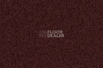 Ковролин Vorwerk Viola 1l46 фото 1 | FLOORDEALER