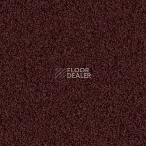 Ковролин Vorwerk Viola 1l46 фото 1 | FLOORDEALER