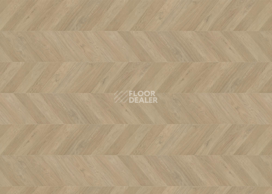Ламинат Haro Chevron 8мм 545178 Дуб Белый Шеврон фото 1 | FLOORDEALER