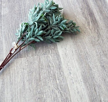 Alpine Floor Easy Line 3мм ДУБ ПОЛЯРНЫЙ ECO 3-19 фото 4 | FLOORDEALER