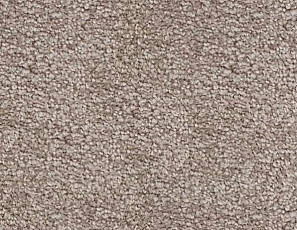 Ковролин SAG San-Marino 1035 фото 1 | FLOORDEALER