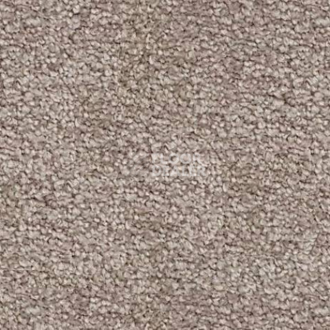 Ковролин SAG San-Marino 1035 фото 1 | FLOORDEALER