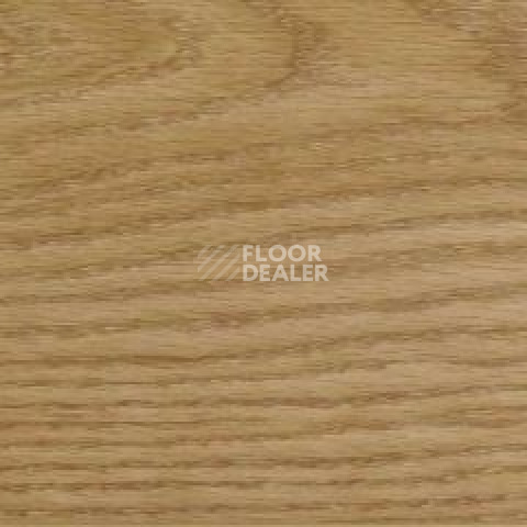 Evofloor Parquet Click 4.5мм Lanterna (Лантерна) фото 7 | FLOORDEALER