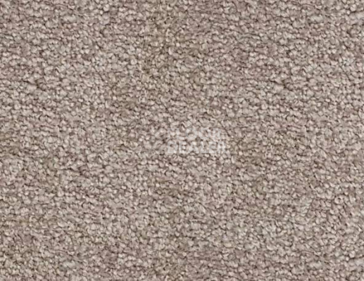 Ковролин SAG San-Marino 1035 фото 1 | FLOORDEALER