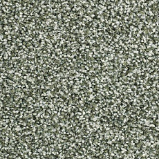 Ковролин Balsan Script 250 фото 1 | FLOORDEALER