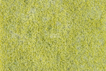 Flotex Colour Calgary 50*50 t 590014 Calgary Lime фото 2 | FLOORDEALER