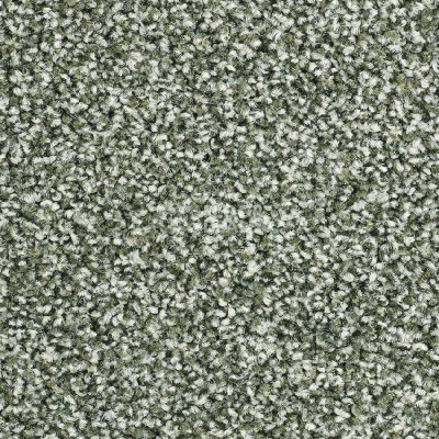 Ковролин Balsan Script 250 фото 1 | FLOORDEALER