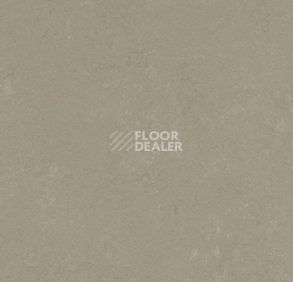Линолеум Forbo Marmoleum Solid Concrete 3759 Mercury фото 1 | FLOORDEALER