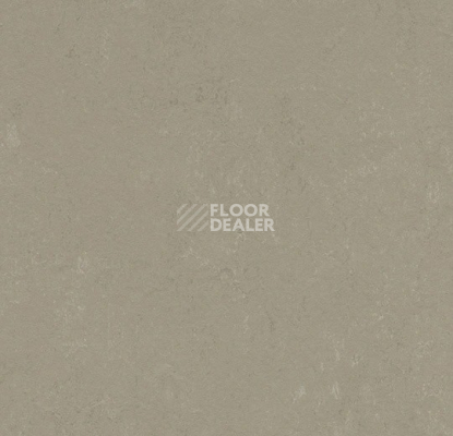 Линолеум Forbo Marmoleum Solid Concrete 3759 Mercury фото 1 | FLOORDEALER