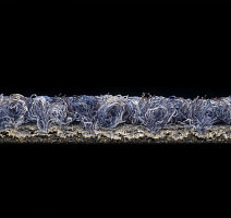 Desso Essence 8803 фото 3 | FLOORDEALER