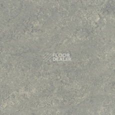 Линолеум Gerflor Marmorette DLW  2mm 0254 Mineral Grey фото 1 | FLOORDEALER