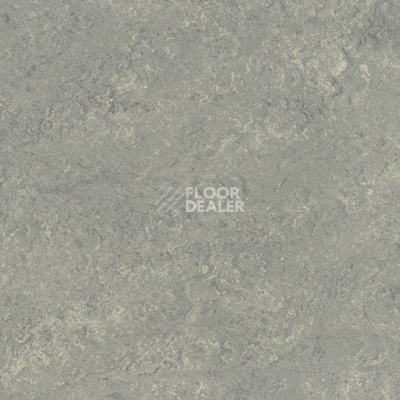 Линолеум Marmorette DLW  2mm 0254 Mineral Grey фото 1 | FLOORDEALER