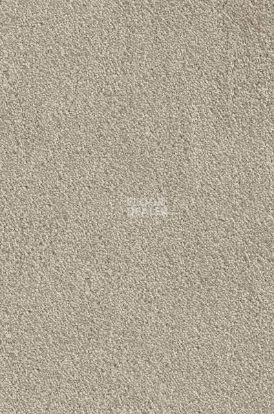 Ковролин AW Lima 37 фото 1 | FLOORDEALER