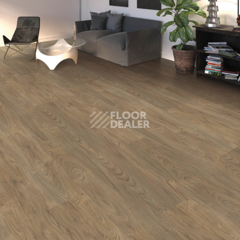 Haro Tritty 100 Gran Via 4V Вяз Варио 544744 фото 2 | FLOORDEALER