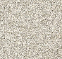 Ковролин AW Sensation 37 фото 1 | FLOORDEALER