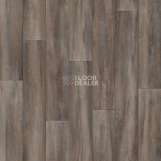 Линолеум Tarkett Delta IDALGO_3 фото 1 | FLOORDEALER