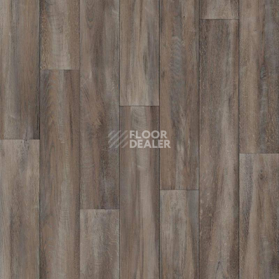 Линолеум Tarkett Delta IDALGO_3 фото 1 | FLOORDEALER