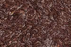 Ковролин Forbo Flotex by Galeote 340026 f Coralline Ambar фото  | FLOORDEALER