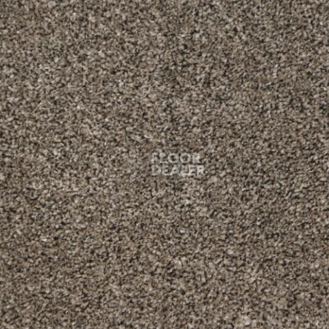 Ковролин Sintelon Modena 80467 фото 1 | FLOORDEALER