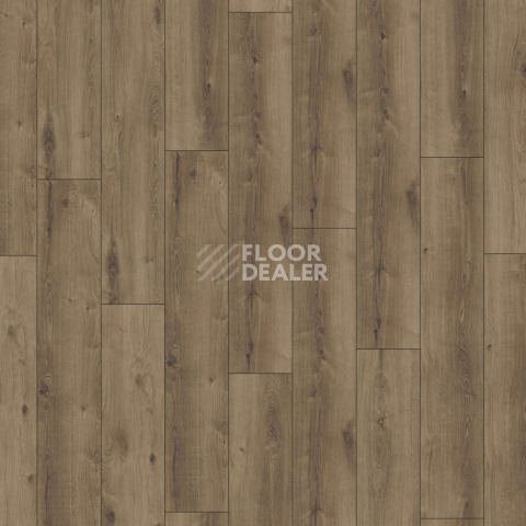 Kronotex Exquisit Plus d6019 Дуб Кашмир Коричневый фото 3 | FLOORDEALER