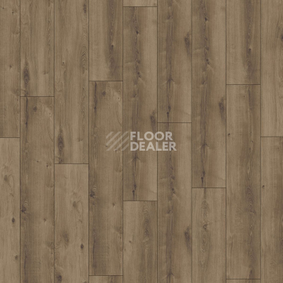 Ламинат Kronotex Exquisit Plus d6019 Дуб Кашмир Коричневый фото 3 | FLOORDEALER