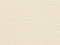 Ковролин Audrey 031 Audrey фото 1 | FLOORDEALER