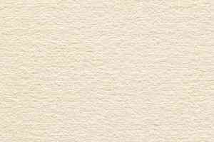 Ковролин Audrey 031 Audrey фото  | FLOORDEALER