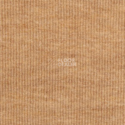 Ковролин Tapibel Nataly 3504 фото 1 | FLOORDEALER