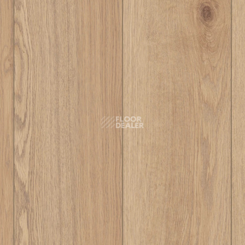 Ламинат Kronotex Robusto 12мм d81602 Toscana Oak Nature фото 1 | FLOORDEALER