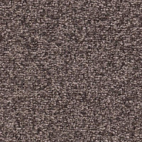 Ковровая плитка Balsan Ultrasoft Planks 780 фото 1 | FLOORDEALER