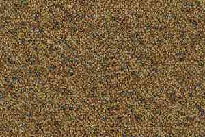 Ковровая плитка Desso Capella Desso Capella 5422 фото  | FLOORDEALER