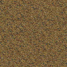 Ковровая плитка Desso Capella Desso Capella 5422 фото 1 | FLOORDEALER