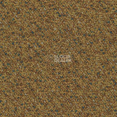 Ковровая плитка Desso Capella Desso Capella 5422 фото 1 | FLOORDEALER