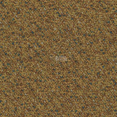 Desso Capella Desso Capella 5422 фото 1 | FLOORDEALER